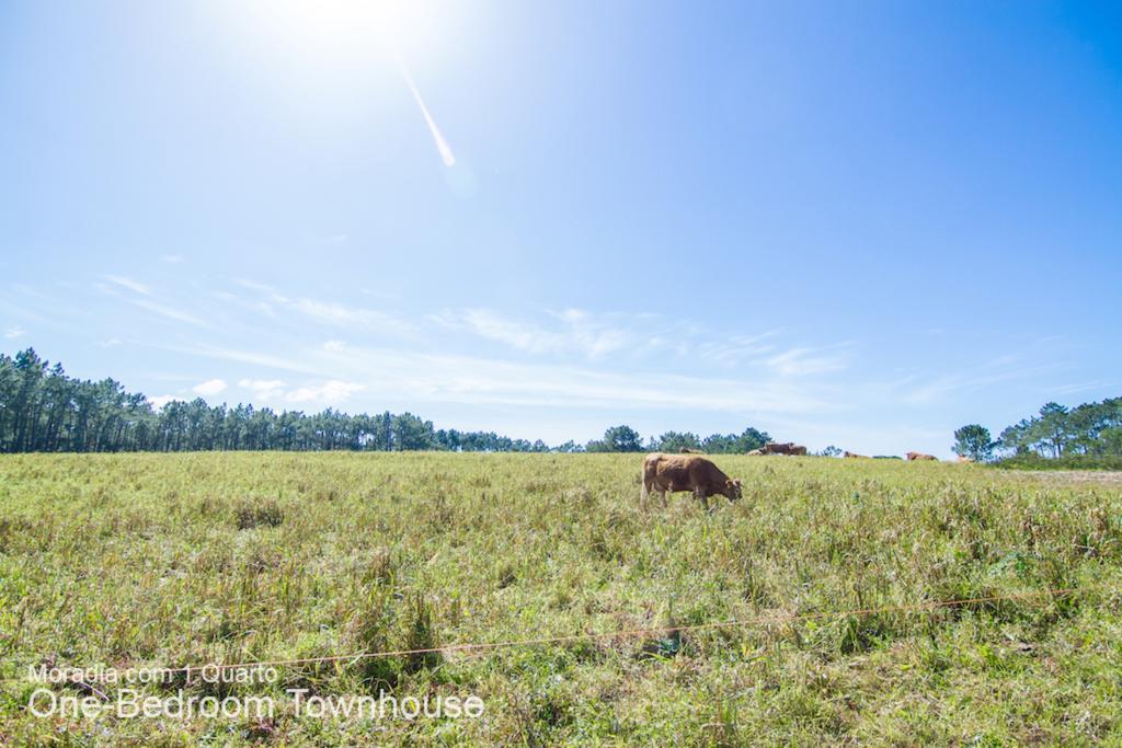 Akivillas Aljezur Nature Exteriér fotografie